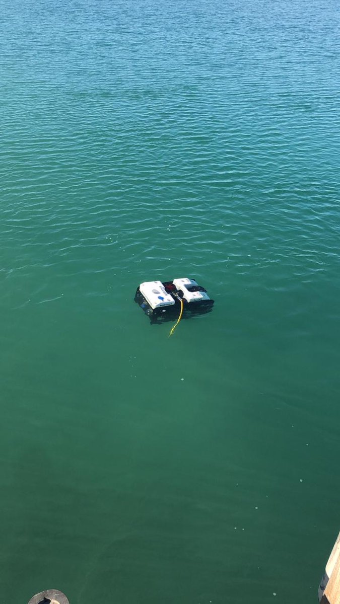 Seatronics tweet media