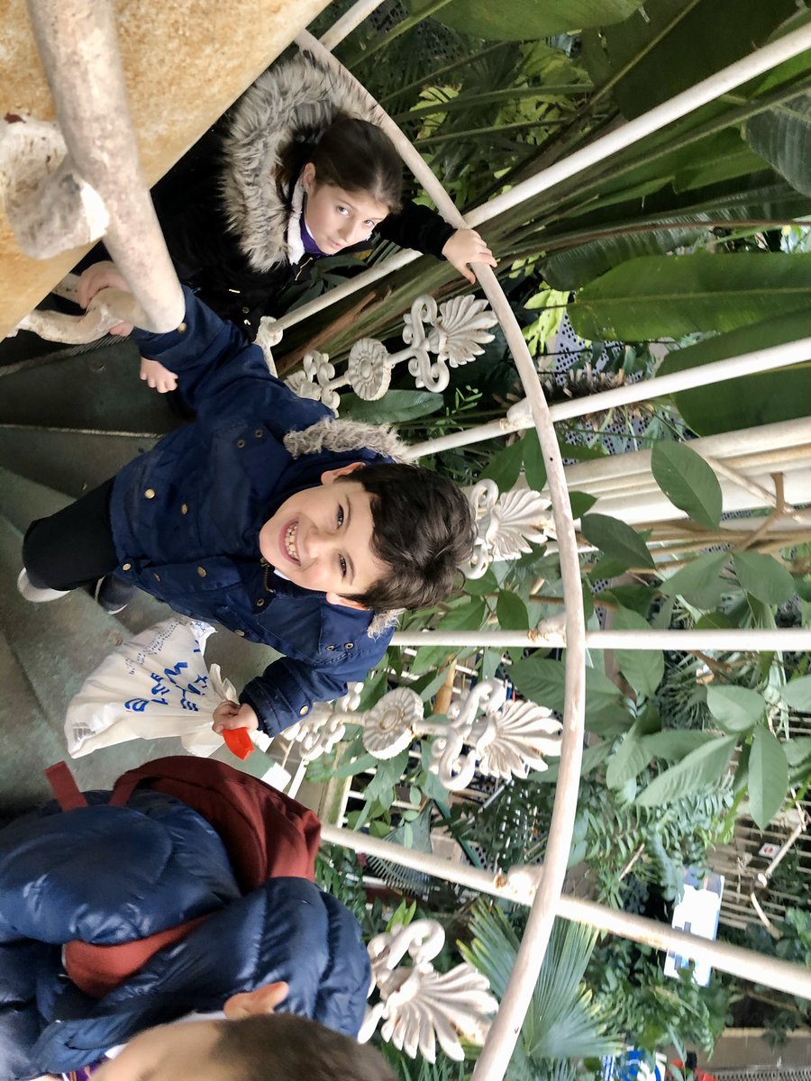 HaematiteEPS's tweet photo. A lovely day spent @kewgardens we loved looking at the tropical plants all the way from the Amazon Rainforest @AmberEPS @PrimaryElaine #DepthOfLearning #TropicalPlants https://t.co/Rv6bxf7rQ1