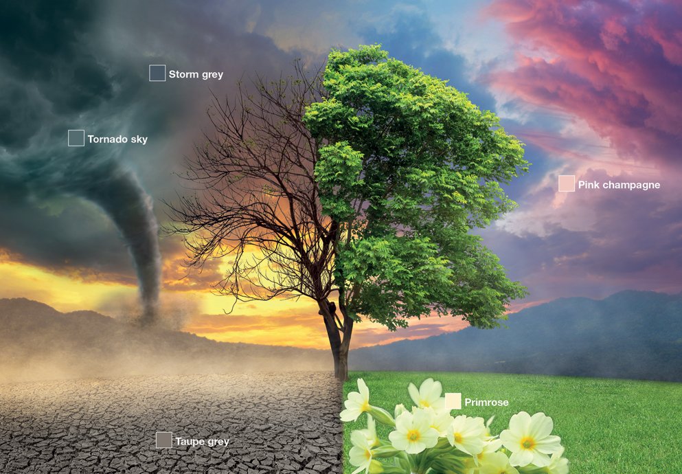 ArchitectsDF's tweet image. Get closer to nature with new @BALtiling Micromax2 colourways ow.ly/JpFV30q8hCX