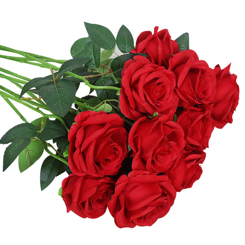 10 Pieces Artificial Rose Flowers.
$15.99 US dollars + Free shipping.
Big discounts with money back guarantee for thousands of quality products. More surprises can be found on face2mall.com
#rose #artificialrose #flower #artificialflower #flowers