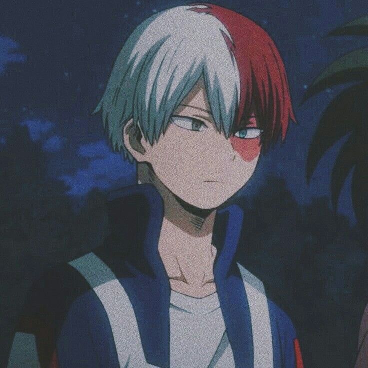 Тодороки. Todoroki shouto. Тодороки шото. Моя геройская академия шото. Тодороки.