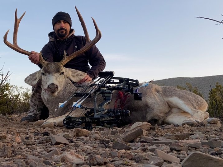 IhuntC's tweet photo. "2019 West Tx muley! 5x4 with lots of mass 27" wide! Hoyt RX1 25 yds"
-Dave

#IhuntC #iHunt #iHuntcalls #ihunt750 #ihuntapp #ihuntgamecalls #casscreek #casscreekoutdoors https://t.co/NA13D8FHL7