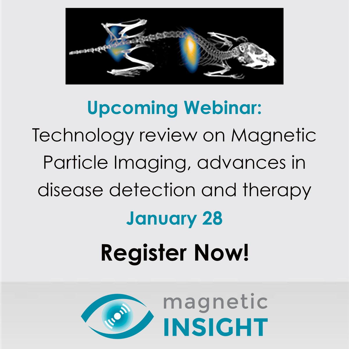 magneticinsight's tweet photo. Join us on Jan 28 for a technology review webinar on Magnetic Particle Imaging, advances in disease detection and therapy.
#magneticinsight #magneticparticleimaging #imaging #preclincial #momentum #research
#nanomedicine #nanotechnology #celltracking
https://t.co/qD40deMbjm https://t.co/L3R6wEuxO2