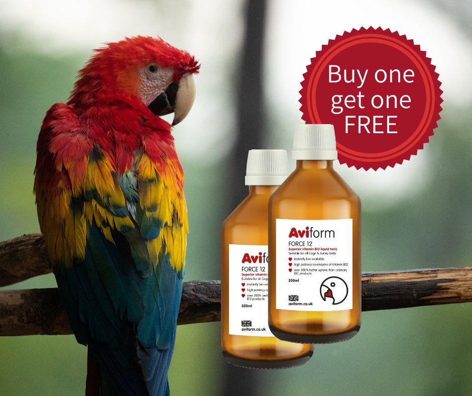 AviformAvian's tweet photo. Buy one get one get one FREE Force 12 - https://t.co/juNL1gyF1B https://t.co/dfZOXNQx0A