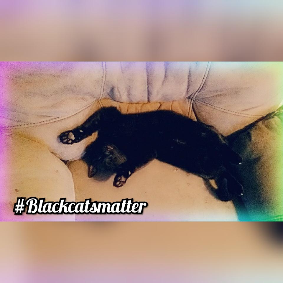 Angela080889's tweet image. Enough is enough!