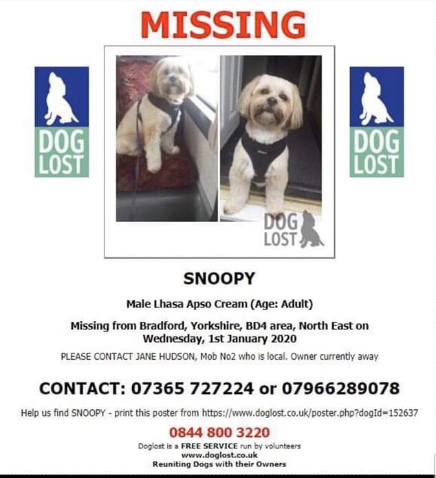 SNOOPY I LOVE YOU WITH ALL MY HEART .I MISS YOU SO MUCH MY LITTLE WORLD .I DONT KNOW WHERE ARE YOU.I JUST WANT YOU WITH ME TO PROTECT YOU .PLEASE  PLEASE WE ARE SO HEARTBREAKING. KEEP LOOKING OUT FOR OUR LITTLE LOVE .WE WANT OUR SNOOPY .OUR HOUSE WILL NOT BE THE SAME 😭🙏🙏🙏