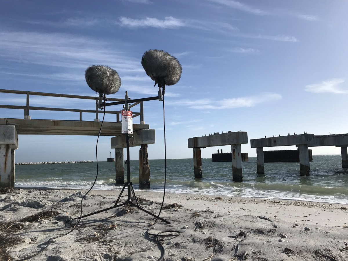 watsonwu's tweet photo. Back to the beach because Florida winter is over. Wearing shorts again, LOL!!
.
#watsonwu #watsonwustudios #soundeffects #fieldrecording #msstereo #sounddesign #beachsounds #midsidestereo #microphone #microphones #rycotecyclone #manfrotto5001b #traveler @SanDisk https://t.co/pqWv8EDaWH