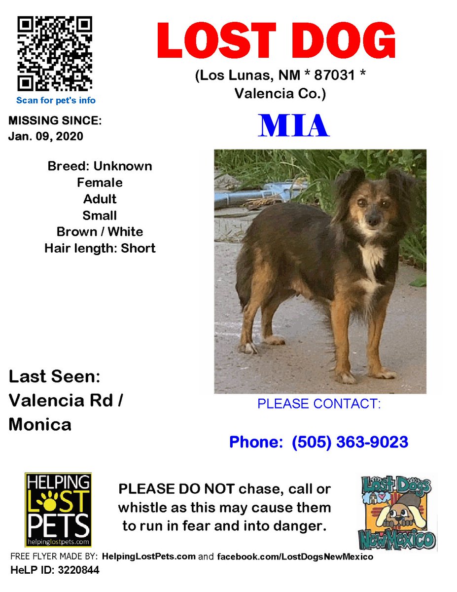 🛑🛑 #LOSTDOG #Mia #LosLunas (Valencia Rd / Monica) #NM 87031 #Valencia Co. , #Lost #Dog 01-09-2020!, Small / Adult / Female / White / Mia was feral in foster home and dashed away with a leash on her. facebook.com/LostDogsNewMex…