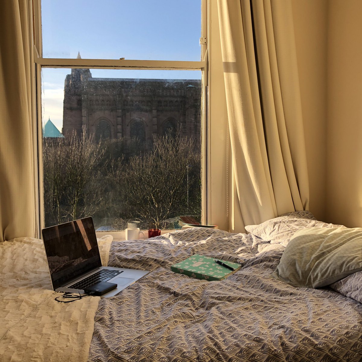 mbellec_com's tweet photo. My #joyreport of the day:
🍏 a healthy and yummy salad 🥑
💻 a cosy working from home spot in the sun 📚
🌱a pretty ficus with a fresh flower bouquet 💐

What’s yours? #FridayFeeling
#Veganuary #freelance https://t.co/wYP37NLPkr