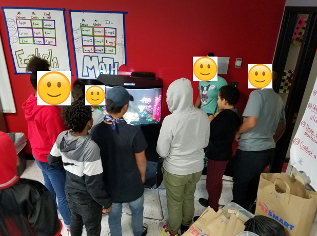 amechhunn's tweet photo. Fish time! Our class gravitated to the fish tanks. Thank you for the learning opportunities @InSciEdOut
#Mayoscientists #InSciedOut https://t.co/9jRB0UXjUI