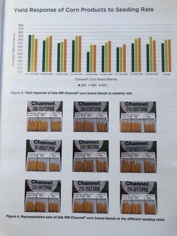 Channel Ohio tweet media