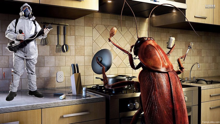 sproutandbloom's tweet image. After Christmas comes the kitchen pests.After the kitchen pests comes Sprout &amp;amp; Bloom.We face them squarely... #WeFumigate

#SproutAndBloom #Landscaping #Fumigation #GardenMaintenance &amp;amp; more.. ☎ us on 0312 297946.Whatsapp 0500141333....
..for a touch of CLASS ABOVE GREEN🍃🍀😊