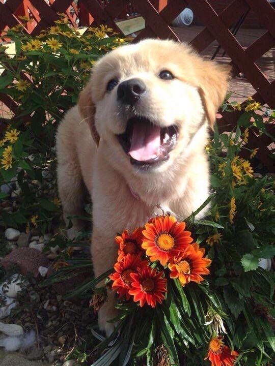 pictures's tweet image. 