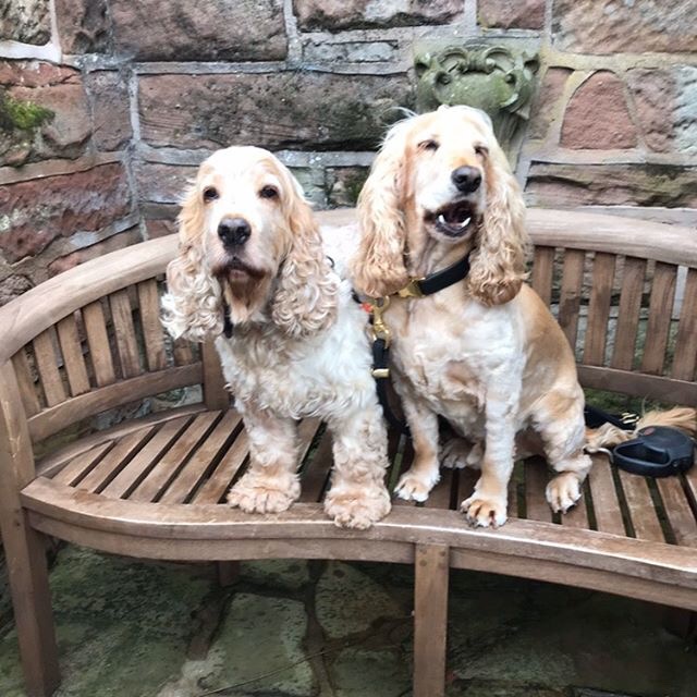 The Pheasant Inn tweet media