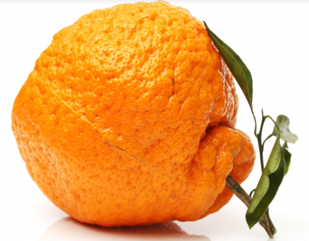 Вяжущая оранжевая фрукт
