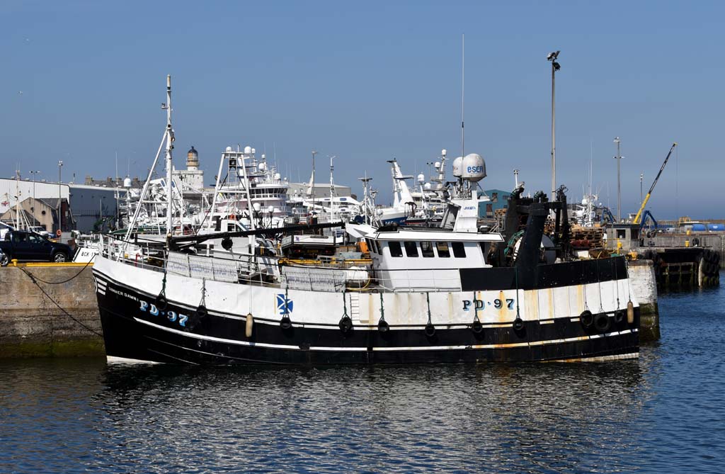 This week’s #Peterhead market report: 

facebook.com/CaleyFisheries…

#fishfriday #seafoodscotland #seafooduk #fishing #fisheries #eatmorefish
