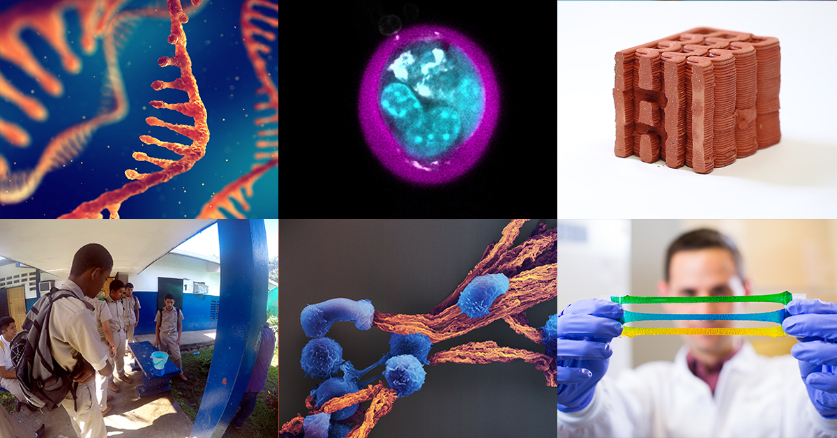 wyssinstitute's tweet photo. Validation and Institute Projects mature through represent a subset of those available for licensing that have been considerably de-risked by our Advanced Technology and Business Development teams. Learn more: https://t.co/yFC0niuy0r https://t.co/26MyprTkXQ