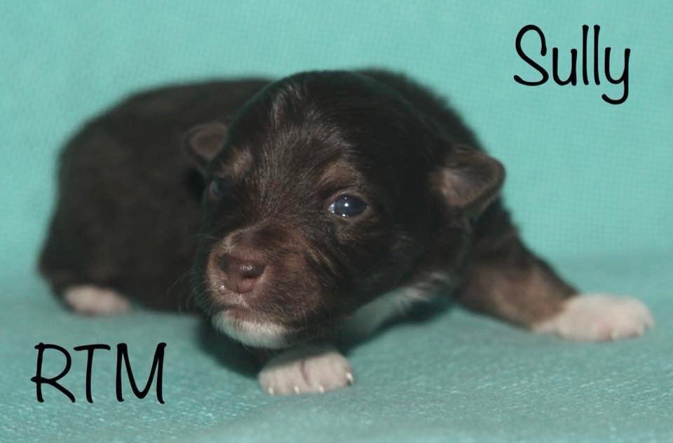 Who wouldn’t want this sweet cute little boy 💕