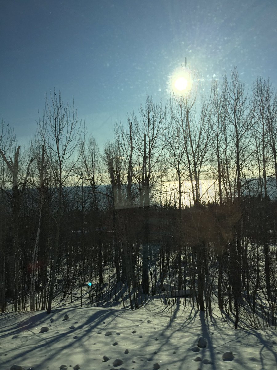 CMS Wolf Ridge tweet media