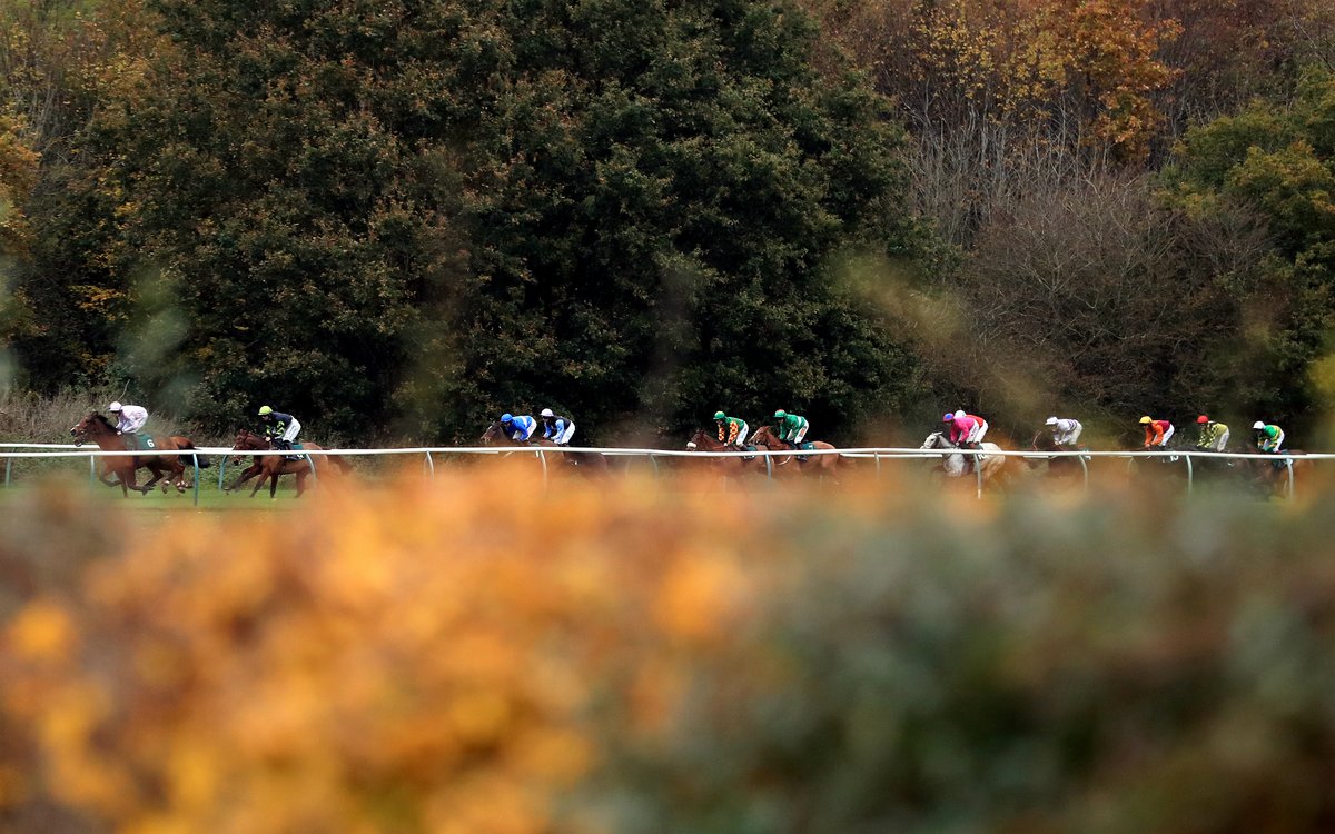 William Hill Racing tweet media