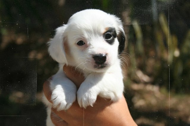 Murtagh.🌻 tweet media