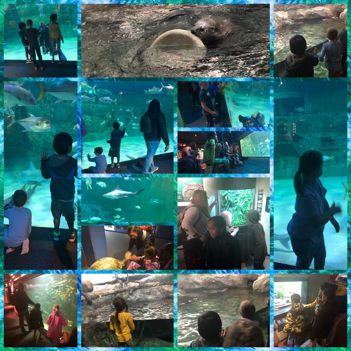 FUNdemental learning at the aquarium today! Now to go have a FUNdemental lunch and discuss all the cool animals and what we learned! #STEAM <a href="/HcesG/">HCES Gators</a> <a href="/OnslowSchools/">Onslow County Schools</a>