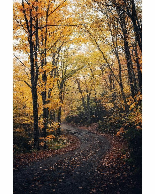 08/13/19 🍁🌻🎶Take me home country roads 🎶🌻🍁