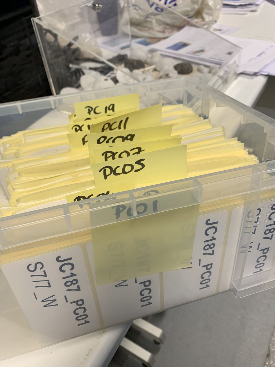 BOSCORF (@boscorf_noc) on Twitter photo Looking forward to an intensive 2 week splitting party for #JC187 over next fortnight w/ <a href="/Sed_Meg/">Meg Baker</a> <a href="/ruffell_sean/">Sean Ruffell</a> <a href="/RicardoSJacinto/">Ricardo S. Jacinto</a> <a href="/lew_bailey/">Lewis Bailey</a> <a href="/MaartenHeijnen/">Maarten Heijnen</a> & co. Welcome pack of sponges, cling film and labels is ready, excited to see what’s in these cores! #coreaday #sediment Looking forward to an intensive 2 week splitting party for #JC187 over next fortnight w/ <a href="/Sed_Meg/">Meg Baker</a> <a href="/ruffell_sean/">Sean Ruffell</a> <a href="/RicardoSJacinto/">Ricardo S. Jacinto</a> <a href="/lew_bailey/">Lewis Bailey</a> <a href="/MaartenHeijnen/">Maarten Heijnen</a> & co. Welcome pack of sponges, cling film and labels is ready, excited to see what’s in these cores! #coreaday #sediment