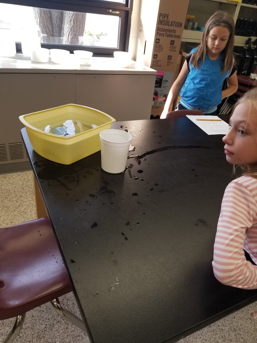 beechteechr's tweet photo. My kiddos became scientists today making predictions about the volume of various containers and then using cups of water to fill! We then observed and recorded our findings! They had a blast! #redmillrocks #sciencerocks @RMESPrincipal  @NclKeros https://t.co/N1XIF4Wkbb