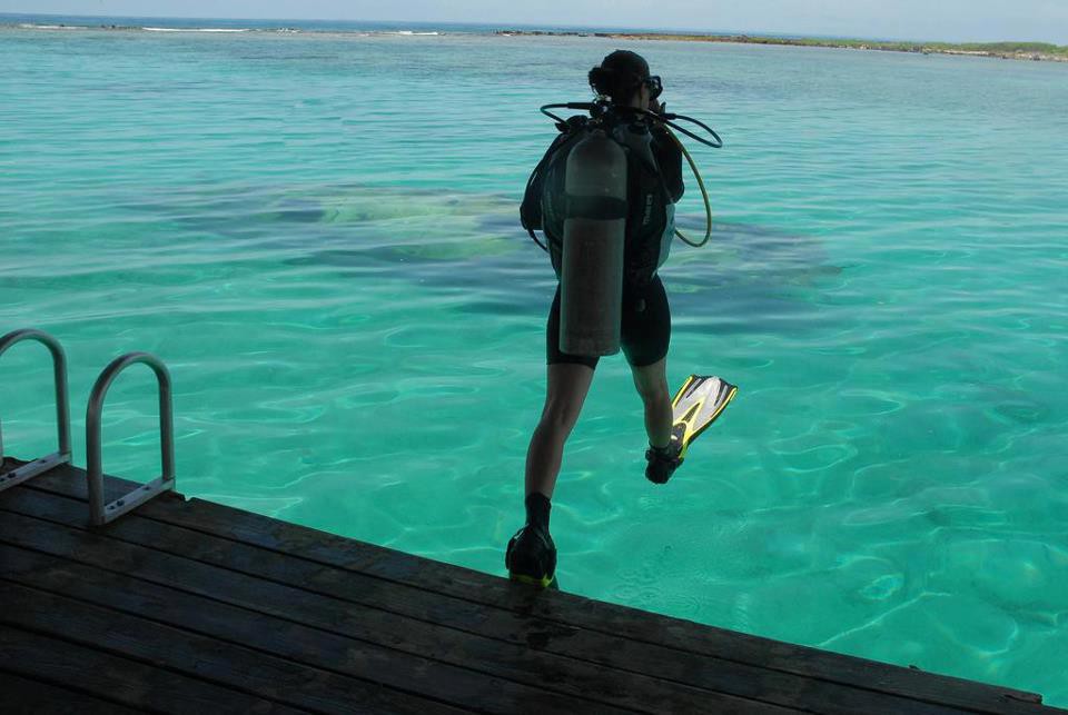 Diving into the weekend like... 💦

Who else is diving this weekend? 🙋🙋‍♂️