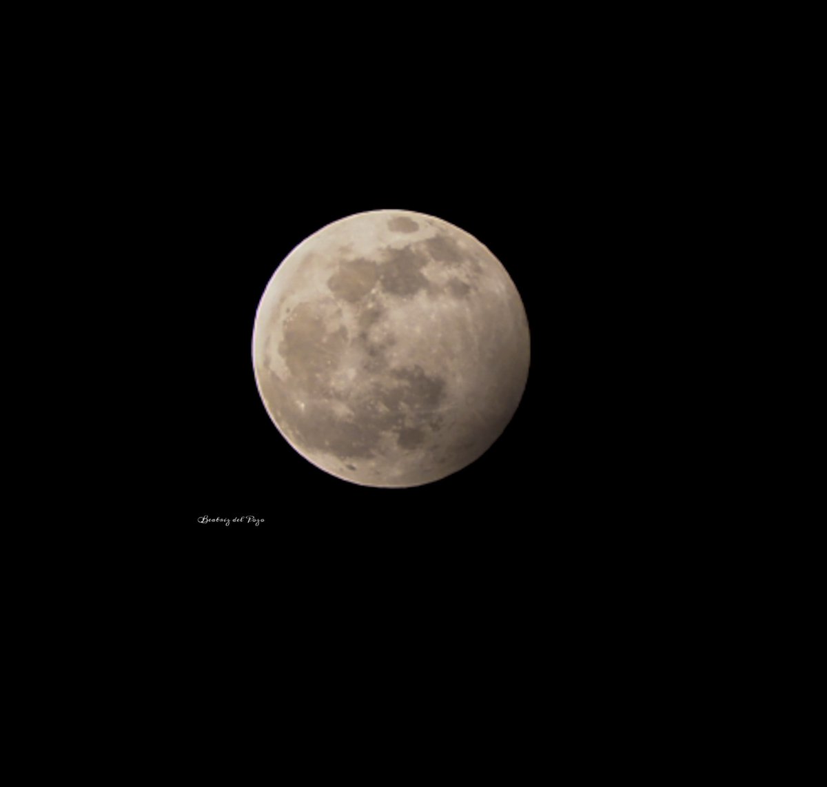 beatrizdelpozo_'s tweet photo. Eclipse de la luna del lobo 2020.
Un poquito del eclipse lunar penunbral de hoy, he podido fotografiar y tan contenta 😍.
#eclipse #eclipse2020 #eclipseshadows #eclipsemadrid #eclipselunar2020 #mooneclipse #eclipsevibes #EclipseEnergy #astrophotography #fullmoon #lunallena https://t.co/aPU4nh0tMW