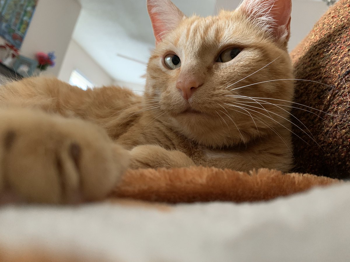 glopensar's tweet image. Sol giving me some side eye today