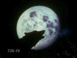 ResidenceBy's tweet photo. Hey everyone tonight is the Wolf Moon so go ahead and howl!!!! https://t.co/yq7DcyKrN2