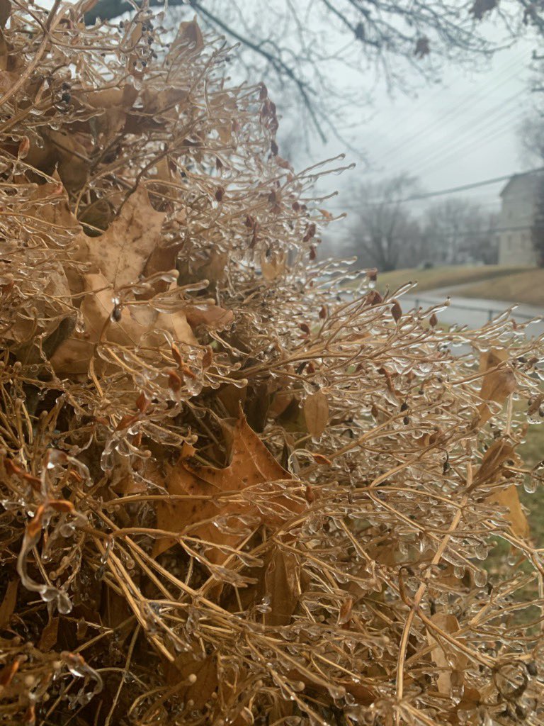 KorianR's tweet photo. @BryanBusbyKMBC @NevilleKMBC @NickBenderKMBC @KatieHornerKMBC The freezing rain in Leavenworth is starting to stick. https://t.co/UIUBMh77Ow