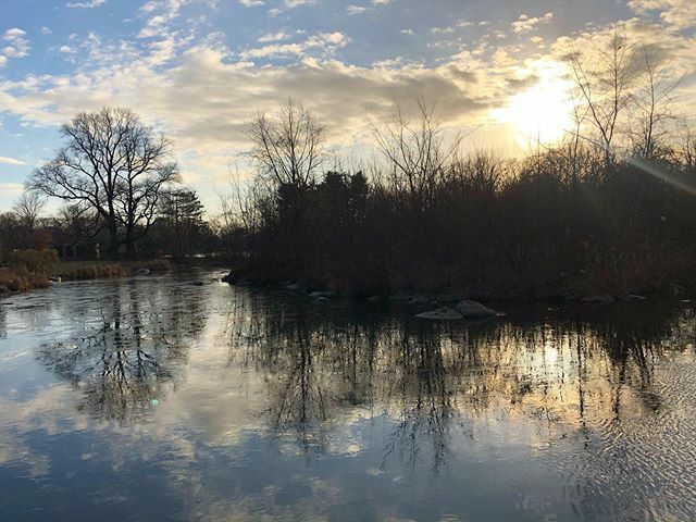 ForestBirds's tweet photo. Hi Brooklyn😎✨
.
.
.
#prospectpark #landscape #reflection #nature #brooklyn #newyork #sunset https://t.co/Cs6Q8vLsfx https://t.co/WqfGZGx1SP