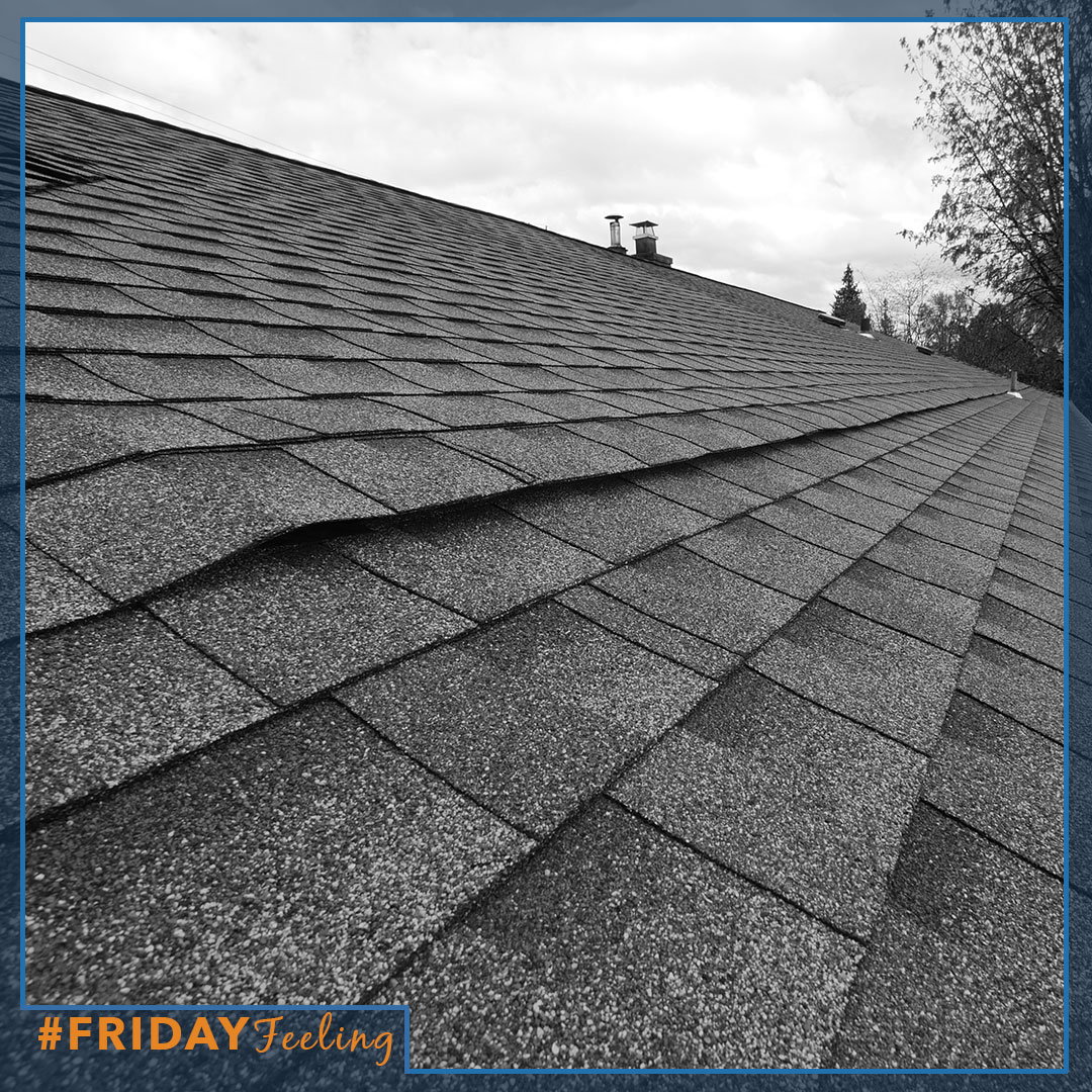 PNWRoofer's tweet photo. Happy Friday everyone!! Check out this gorgeous #CobraIntake π
.
.
.
#FridayFeeling #TGIF #WeLoveRoofs #RoofCloseup #CrazyAboutRoofs #GAFTimberlineHD #RoofingContractors https://t.co/5w4vppg4Kw