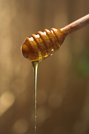 role_bee's tweet image. Fun Fact:

The darker the honey, the greater amount of antioxidant properties it has.
 
Learn more at BeeRole.Com