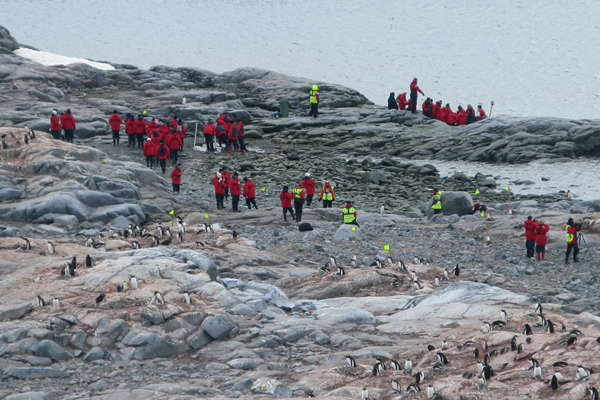 Adam Graff tweet media