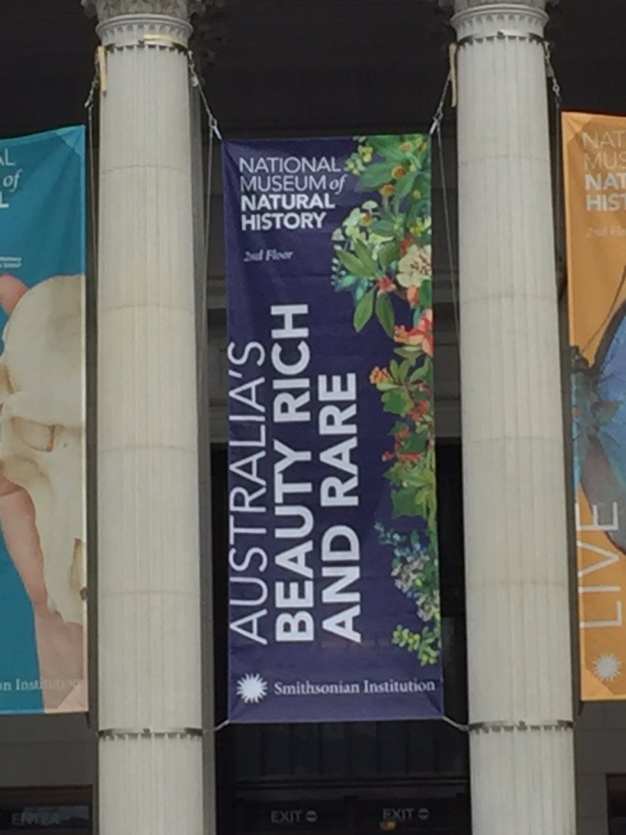 Brett_J_Mason's tweet photo. Launching “Beauty, Rich &amp; Rare” at Smithsonian’s National Museum of Natural History @NMNH commemorating 250 yrs since Captain James Cook sighting of Australian coastline and engagement with Pacific peoples, with Ambassador Joe Hockey @JoeHockey @nlagovau https://t.co/GlkMGQmztA