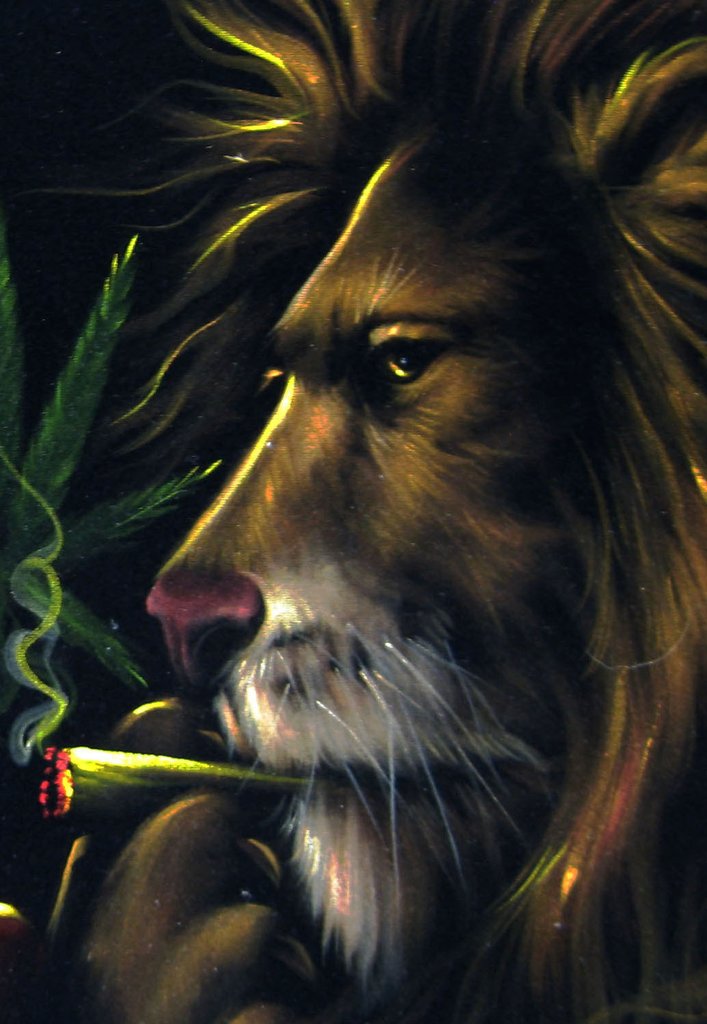 ArmyOfPotheads's tweet photo. @tripprrr @Michael57645022 @EmeraldZoo @HBogarts1 @Kunzitoons @Cogitatorium @PMR420 @StarsofSugar @AtlWrika01 @LARRYIRBY6 @Hippie_of_Love @_jena4n Congratulations General! As one of our very first and most loyal #HighCommanders it brings all of us in #TheHighCommand (THC) and the #AOP great pride to see you appreciated as much as you are @tripprrr !
#SemperHigh and #AOPSalute Sir https://t.co/p3Q0ejjaAM