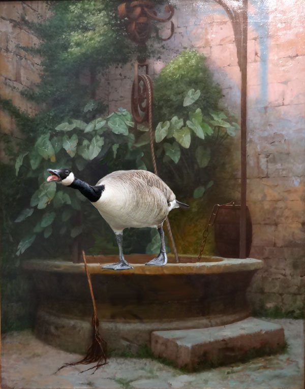 Goose coming out of their well to shame mankind.