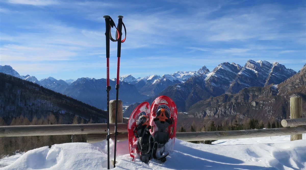 GemonaTurismo's tweet photo. Dal blog @FVGlive scopriamo il racconto "In cima alle nuvole" della social ambassador Federica Canton https://t.co/bmg4zP09gp
#FVGLive #FVGLiveexperience #FVGambassador #FVGstories https://t.co/R9DVxTdrcd