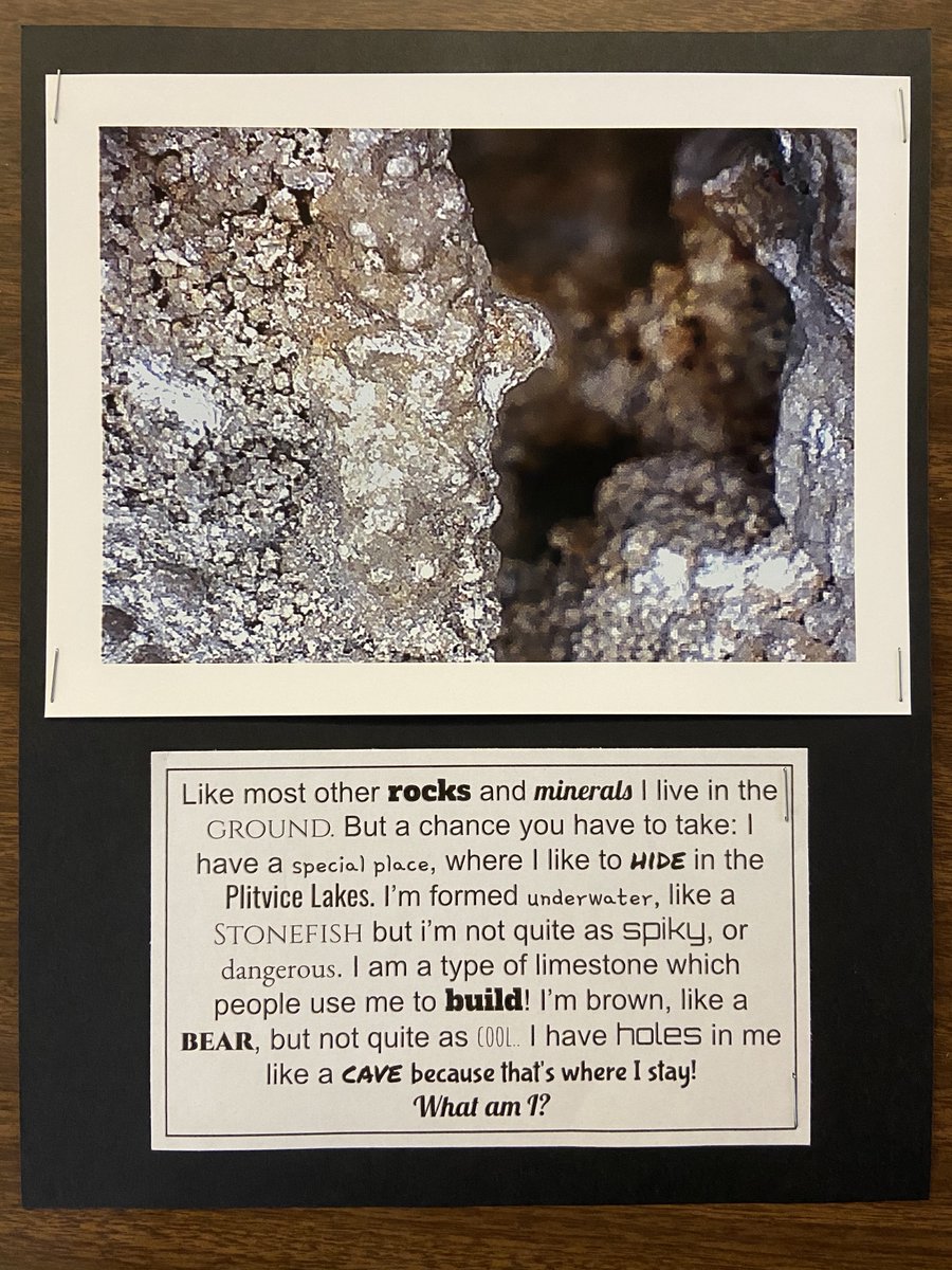 MsTavares tweet media