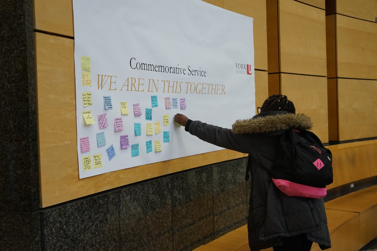 York University tweet media