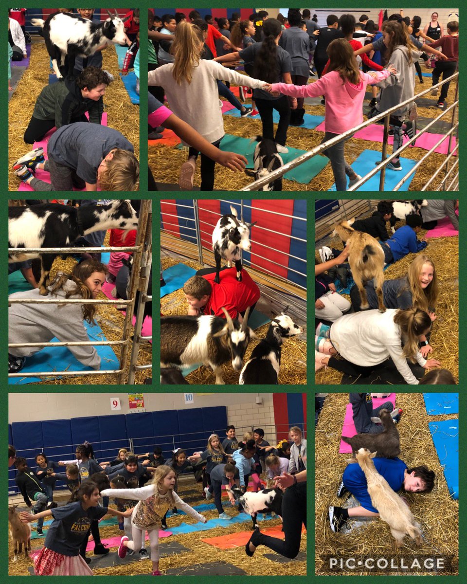 What better way to celebrate a great second quarter than with a Goat Yoga Quarterly Reward Party for every grade <a href="/nherisd/">Northwood Hills Elementary</a>?! Active, interactive, and just plain fun! Brought to you by the NHE PTA and the letter B for Baah-maste! <a href="/DavidLe902/">David Lewis</a> #nhestickingtogether #RISDsaysomething