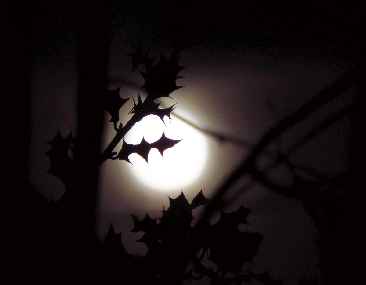 angegarrod's tweet photo. Very cloudy rising 99.8% Full Moon 10/1/20 #PenumbralLunarEclipse #Woolfmoon #foxmoon #moonwatch #wonders #astronomy @newburyastro @UKWIAN #clouds @CloudAppSoc @EpicCosmos @StormHour https://t.co/bxBIs3odIc