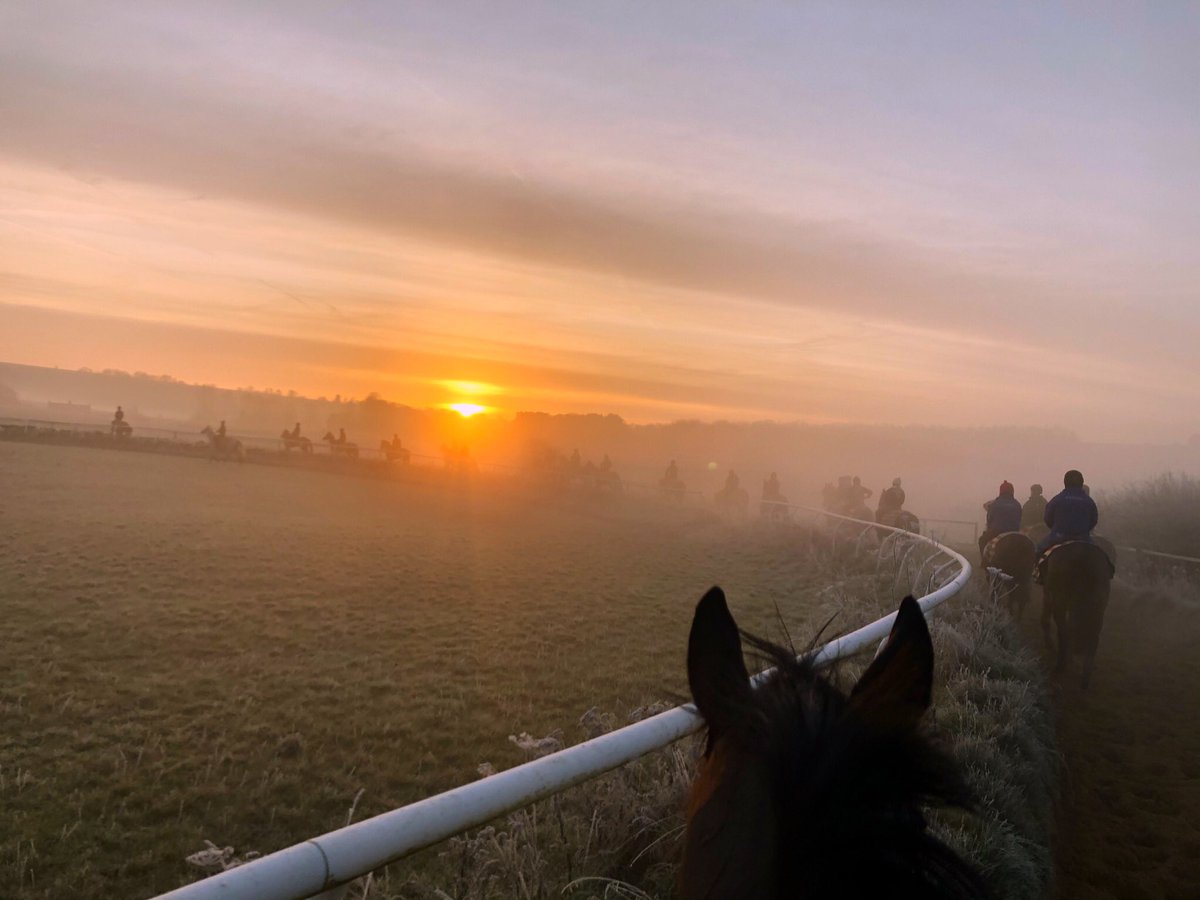 ifandbutwhynot's tweet photo. Best of luck to my fav grumpy pony at Kempton tomorrow 💗 #burrowsedge https://t.co/CYuTQcrWie
