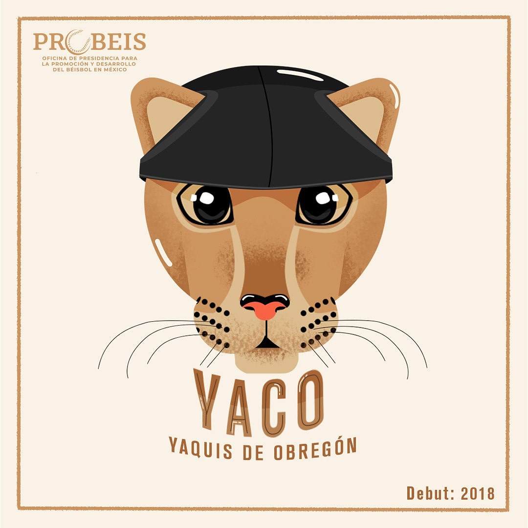 BTEDmx's tweet photo. Yaco el Puma es una de las mascotas más jóvenes de la Liga Mexicana del Pacífico, pero aún así, logra despertar la pasión de los aficionados por su equipo los Yaquis de Obregón. ⚾🇲🇽🙌🏼

#ProbeisMx https://t.co/UpBSJYW6va