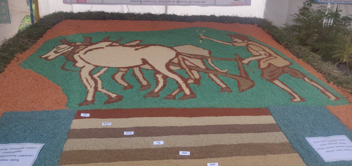 sangappahl's tweet photo. ಸಿರಿ ಧಾನ್ಯ ಕಣಜ #HampiUtsav #Ksda All these beauties were made from minor millets #milltes https://t.co/Da9BzW3jsU