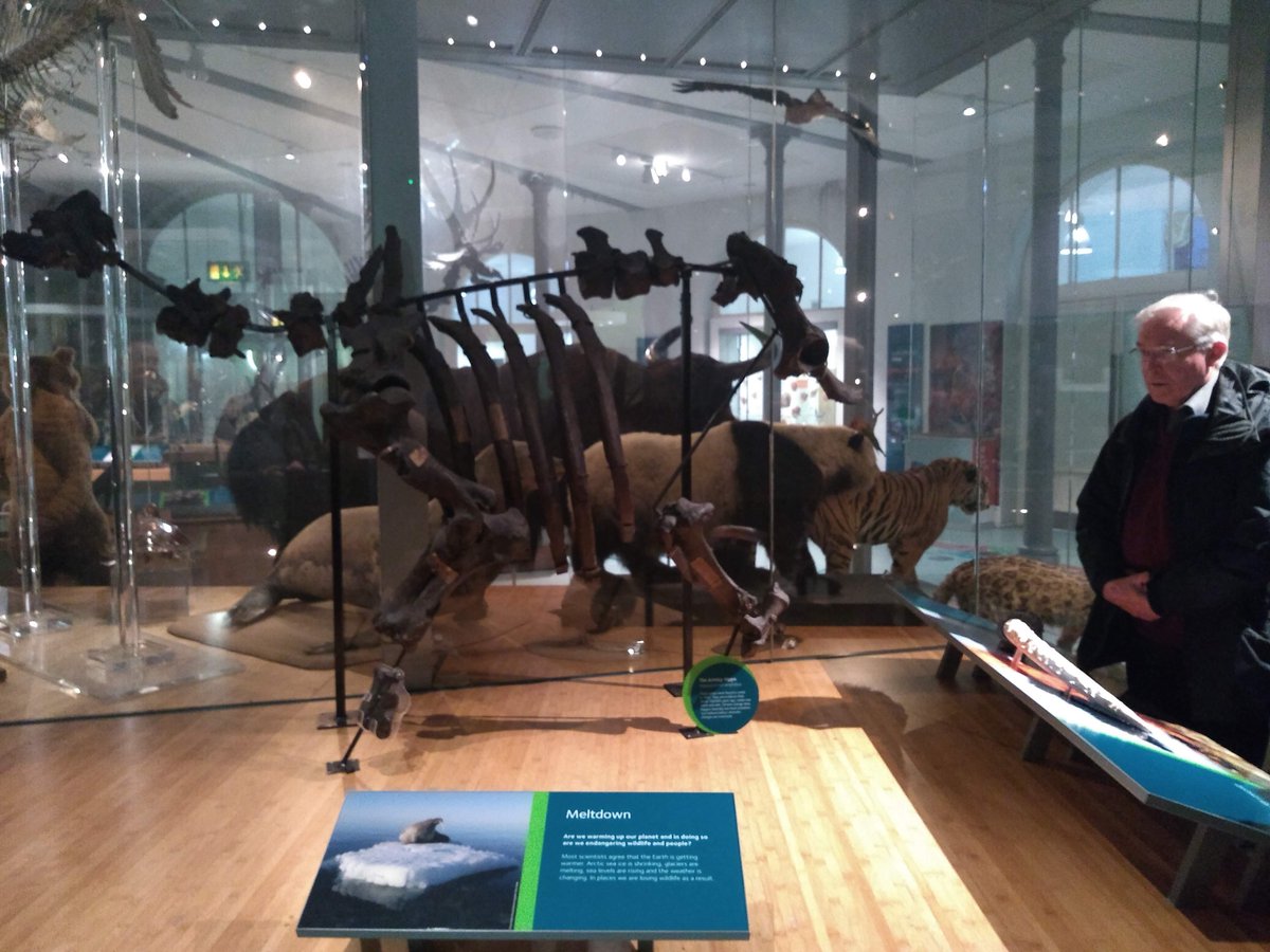 Thank you <a href="/QRALeeds2020/">QRA Leeds 2020</a> for a great #QRA20. 
Already looking forward to #QRA21 (<a href="/QRAPompey2021/">QRA Portsmouth 2021</a>)! 

(👇1 Leeds hippo 🦛; 2 Quaternary legends!)